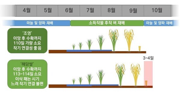 23년도 춘계 작물학회 학술발표 자료(농진청 제공)