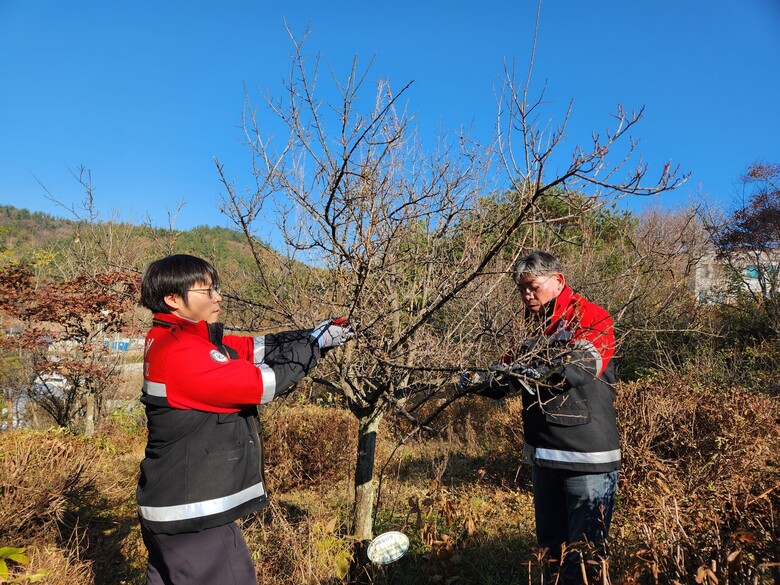 숲가꾸기 1일 체험행사(중부지방산림청 제공)