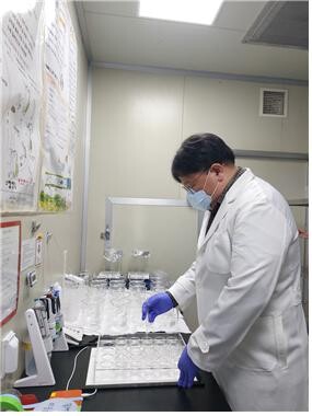 생태독성 분석(인천시 제공)