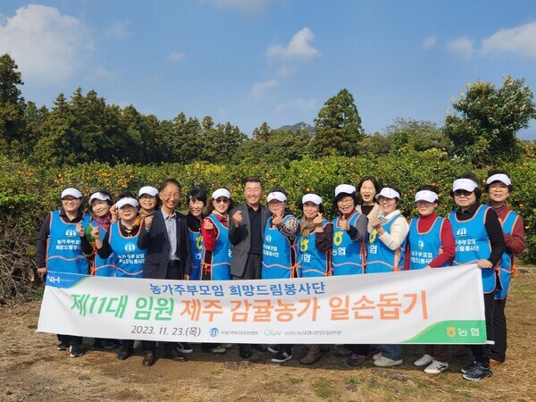 농가주부모임전국연합회, 제주 서귀포서 감귤 농가 일손돕기 (농협 제공)