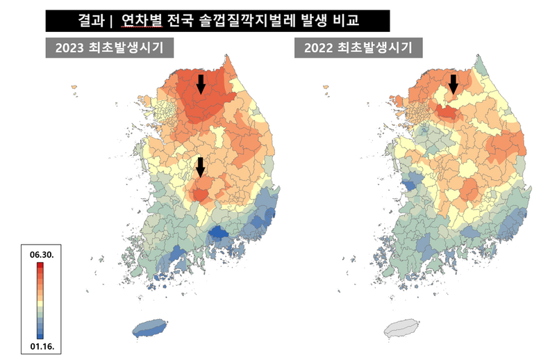 한국임업진흥원 제공