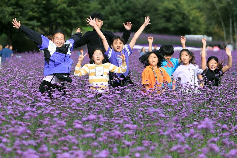 축제기간 행사장을 찾은 방문객(강원도청 제공)