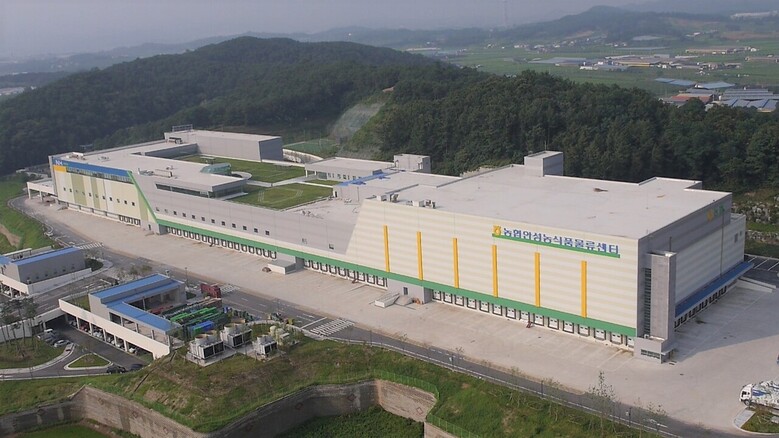 농협경제지주의 유통업체 농산물 도매공급실적이 사상 최대치를 돌파했다.(농협 제공)
