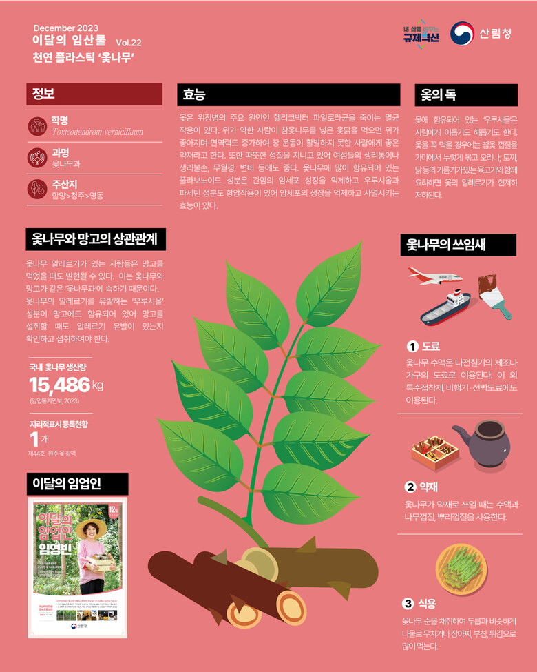 산림청 제공