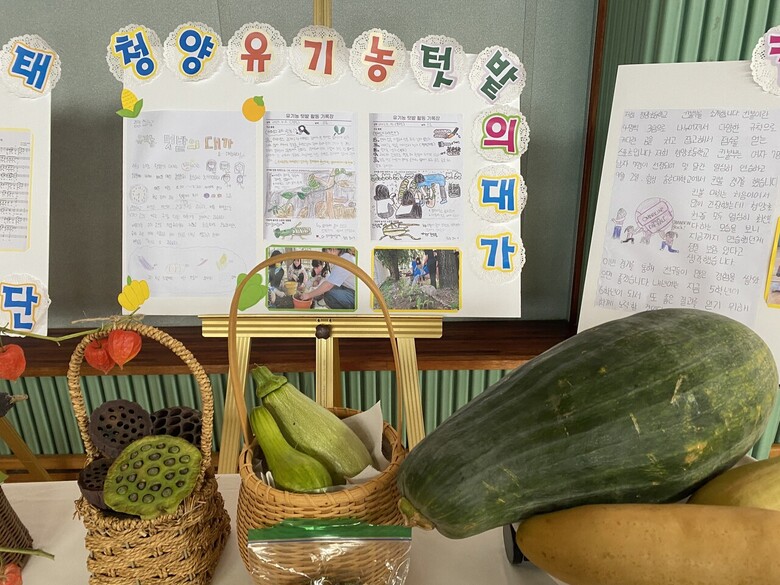 제2회 유기농텃밭 경진대회(농진청 제공)