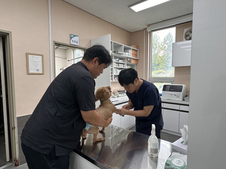 경기도 제공