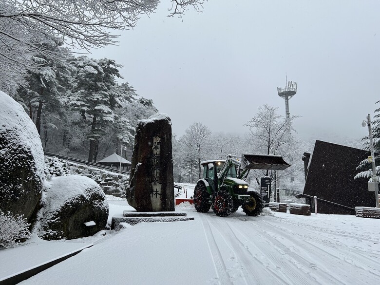 국립대관령 자연휴양림 제설작업(산림청 제공)