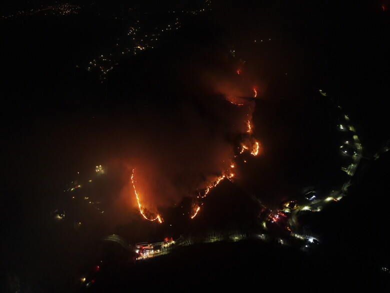 양산국유림관리소 제공