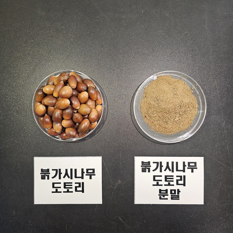 국립산림과학원 제공