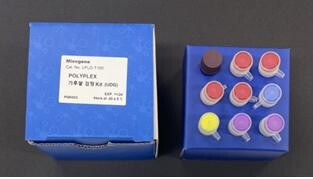 가루쌀 품종판별 검정키트(농진청 제공)