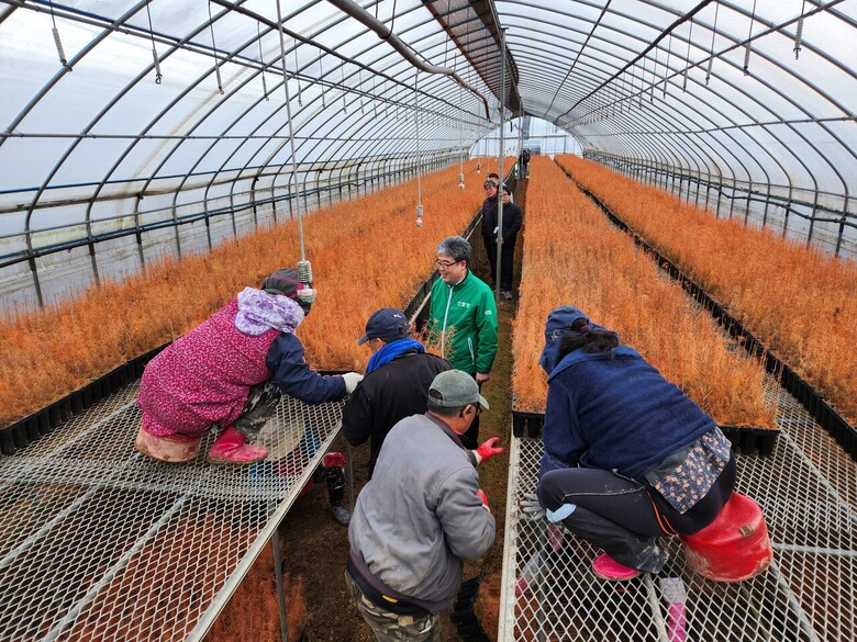 산림청(청장 남성현)은 15일 충북 음성군에 있는 중부지방산림청 삼성양묘장을 방문하여 스마트 양묘시스템 구축현황을 점검(산림청 제공)