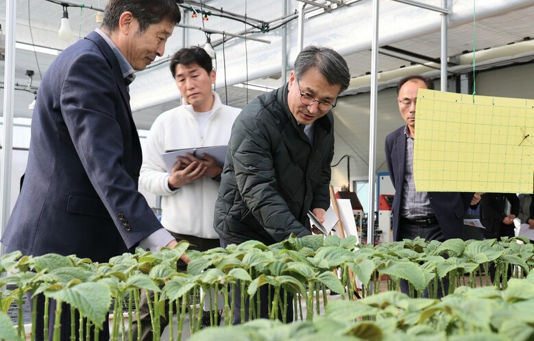 스마트농업 시범사업 시설(농진청 제공)
