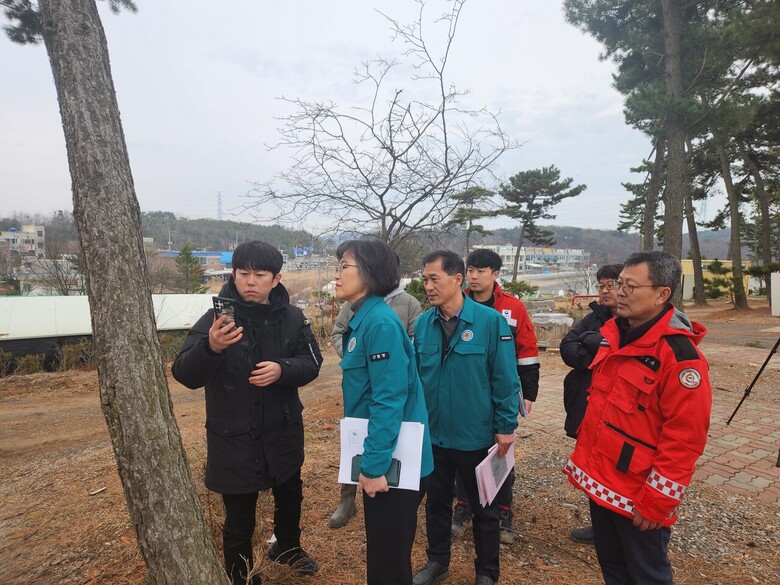 소나무 재선충 피해목 식별표시(산림청 제공)