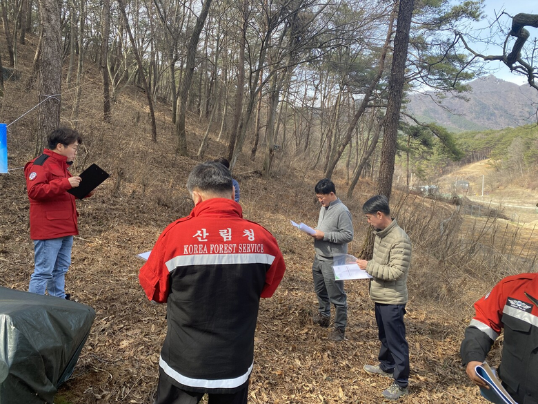 소나무재선충병 방제사업지 점검(서부지방산림청 제공)