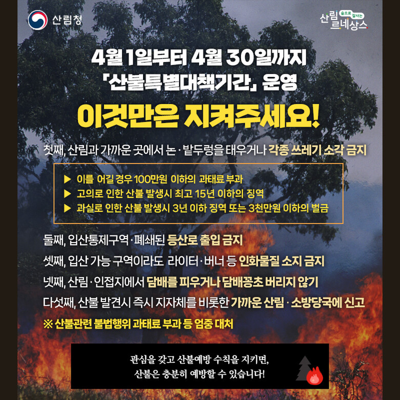 산림청 제공