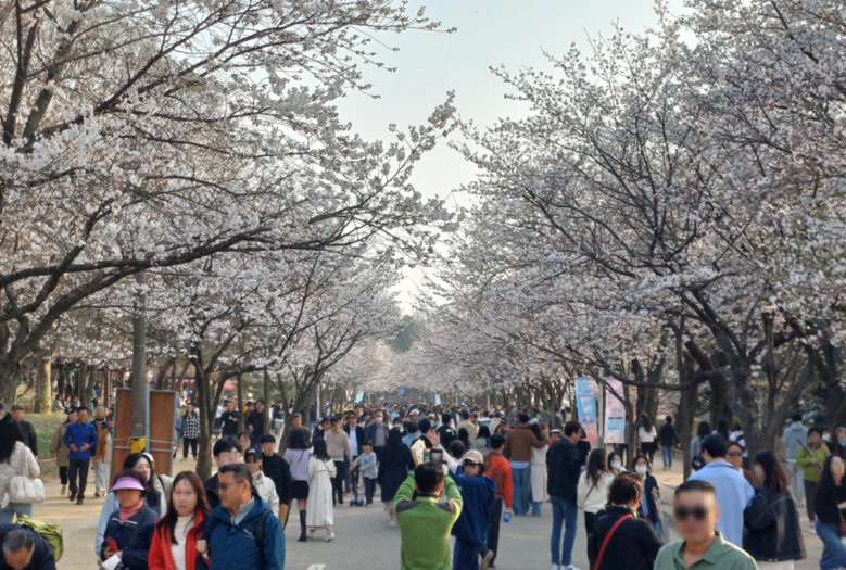 인천시 제공