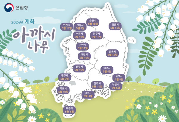 2024개화 (아까시)