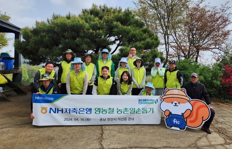 NH저축은행 제공