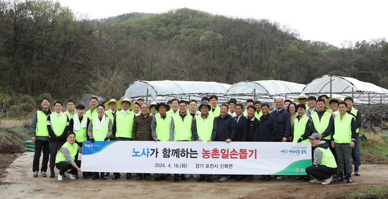 경기도 포천시 신북면 소재 포도 농가에서 '노사가 함께하는 농촌일손돕기' 를 실시(농협 제공)