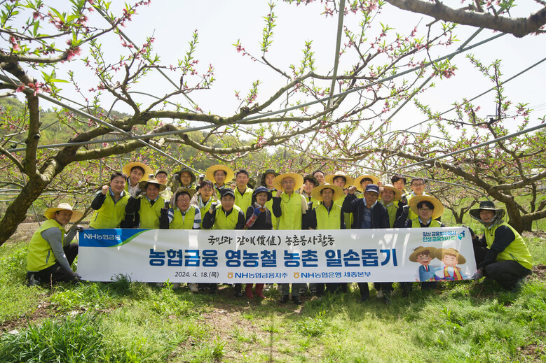 NH농협금융 제공