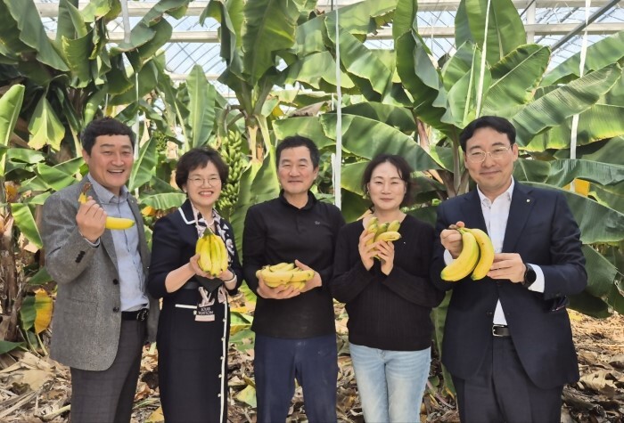 농신보 조은주 상무는 18일 경북 포항시 소재 농신보 보증지원 스마트팜 우수농가 만강바나나 농장에 방문하여 현장간담회 실시(농협 제공)