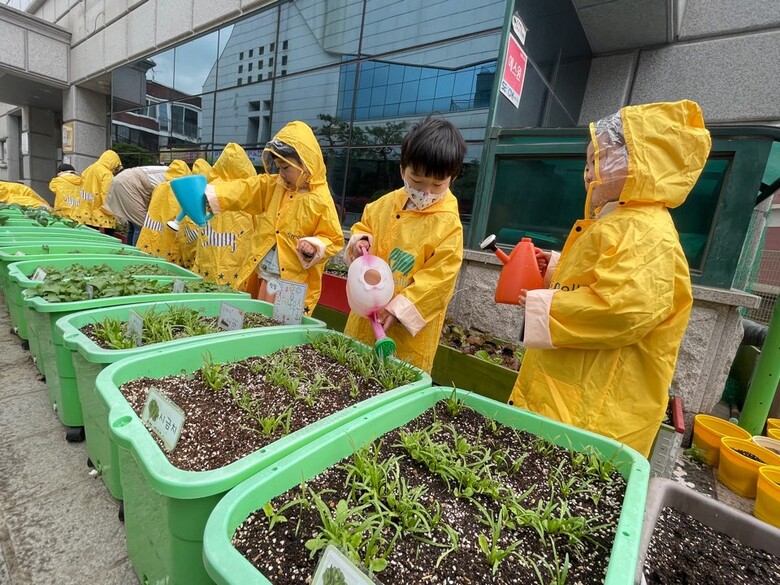 유아 텃밭활동 물주기(농진청 제공)