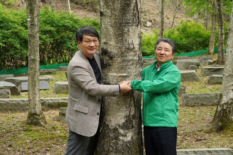 남성현 산림청장(오른쪽)이 30일 충북 충주시 SK임업 산림경영지를 방문해 손대익 SK임업 대표와 50년 자란 자작나무를 안아보고 있다.(산림청 제공)