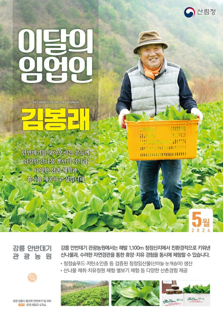 ‘이달의 임업인’으로 강원 강릉의 ‘안반데기’에서 산나물을 재배하는 임업인 김봉래 대표 선정(산림청 제공)