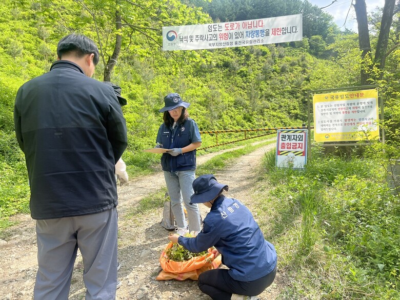 단속사진(북부지방산림청 제공)