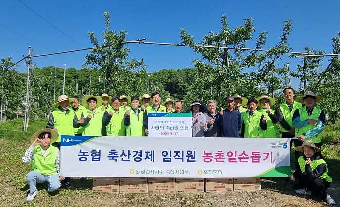 농협경제지주 축산경제는 일손돕기 활동 실시(농협 제공)