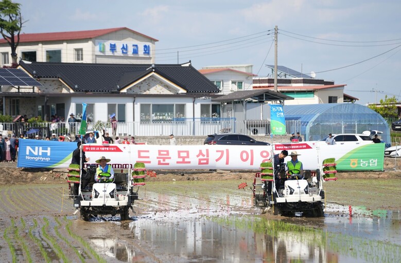 스마트 농기계 활용 드문모심기 일관농작업대행 시연(농협 제공)