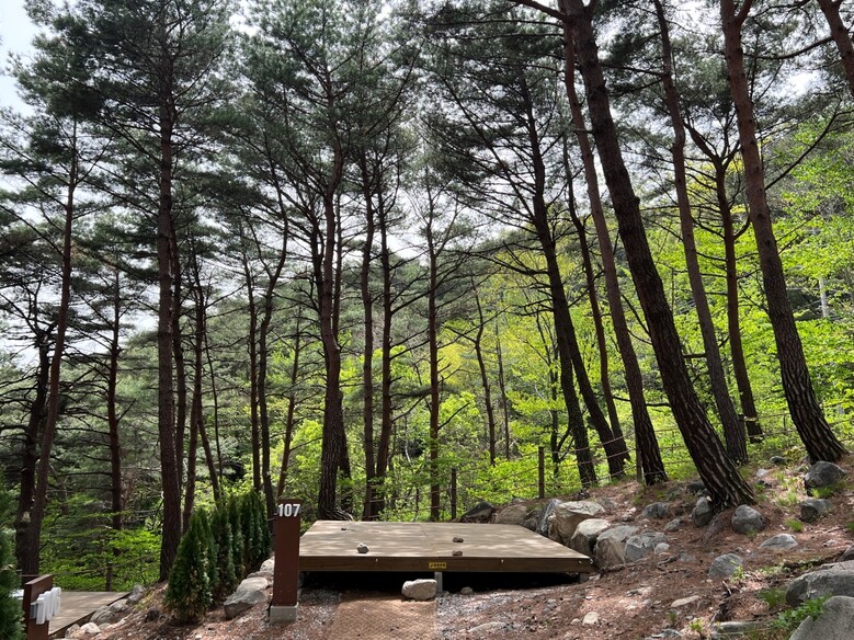 칠보산 야영장