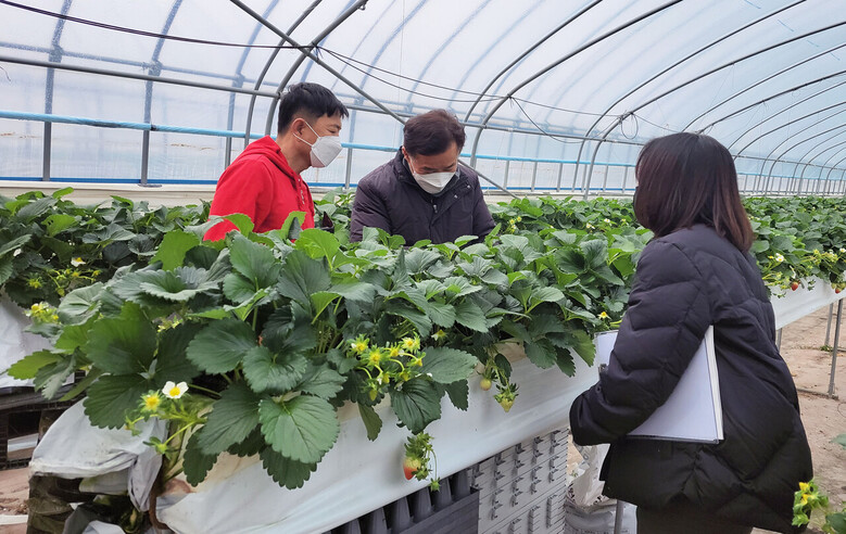 스마트팜 신규 도입 농가 대상 사전컨설팅 진행(전남농기원 제공)