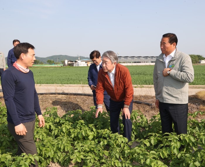 강호동 농협중앙회장, 경북 구미 감자 농가 방문(농협 제공)
