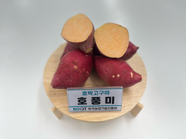 농진원 제공