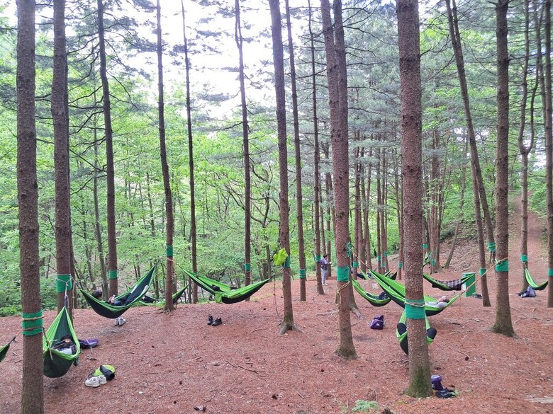 가축위생방역지원본부 경북도본부 제공