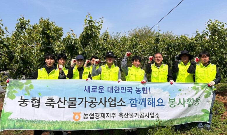 축산물가공사업소는 농번기 일손이 부족한 농가를 도와 구슬땀을 흘렸다.(농협 제공)