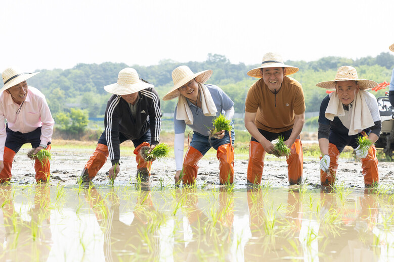 김동연 지사 모내기를 시연하고 농업인 격려(경기도청 제공)