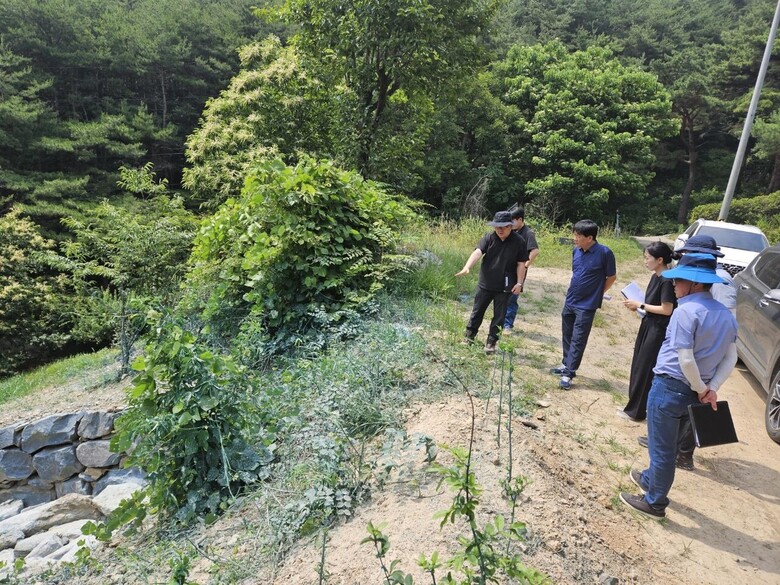 임도 기슭막이 점검(산림청 제공)