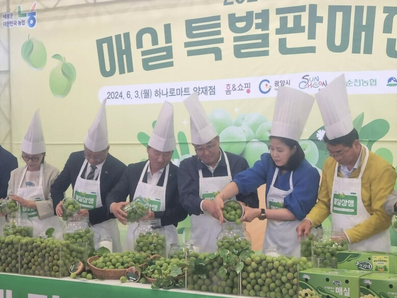 매실 소비촉진을 위한 상생마케팅 할인행사(농협 제공)