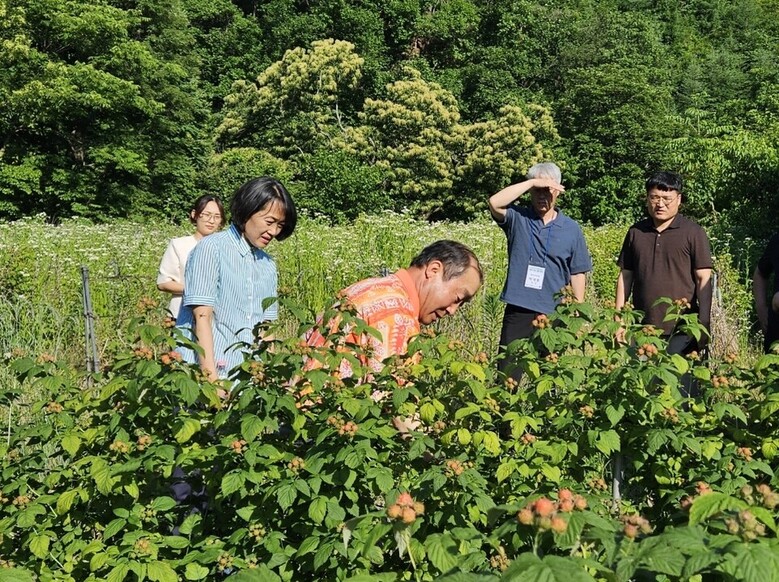 임산물생산비조사 참여 임가방문 (산림청 제공)