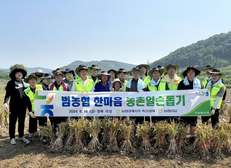 '범농협 한마음 농촌일손 지원의 날' 경북 의성군 소재 마늘 재배 농가 방문하여 농촌 일손돕기(농협사료 제공)