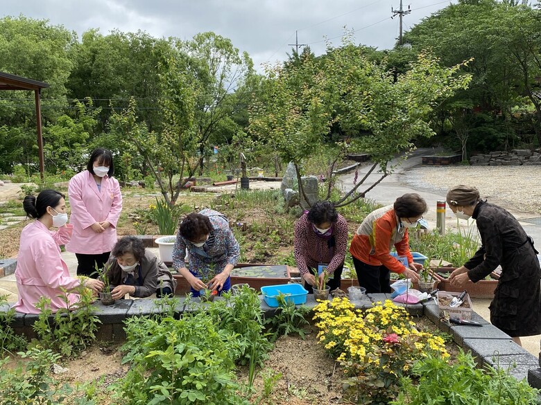 치매어르신대상프로그램