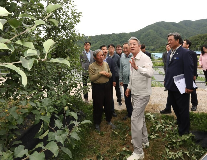 강호동 농협중앙회장은 거창군 소재 사과 농가를 방문하여 사과 생육상황 현장 점검(농협 제공)