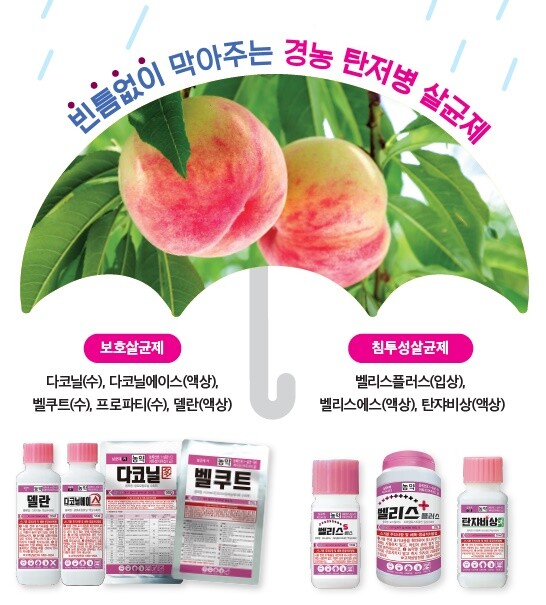 탄저병 방제약제(경농 제공)