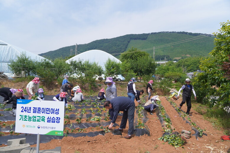 농식품부 제공