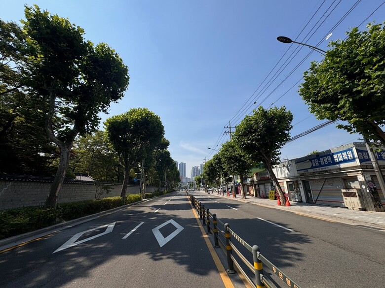 넓은 잎 가로수가 있는 동대문구 전경(국립산림과학원 제공)