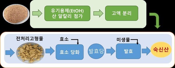 보릿짚 유래 발효당으로 바이오화학 기초원료 숙신산 생산