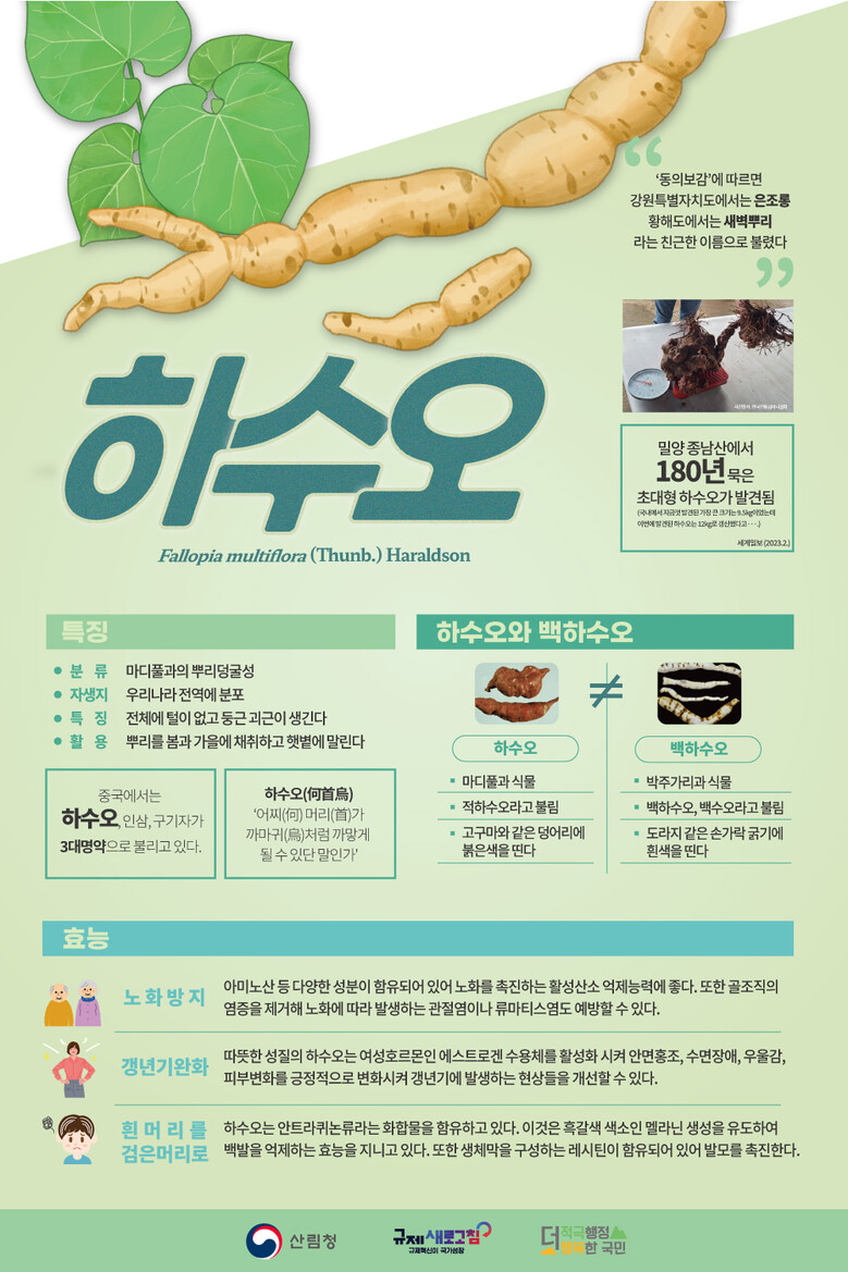 산림청 제공