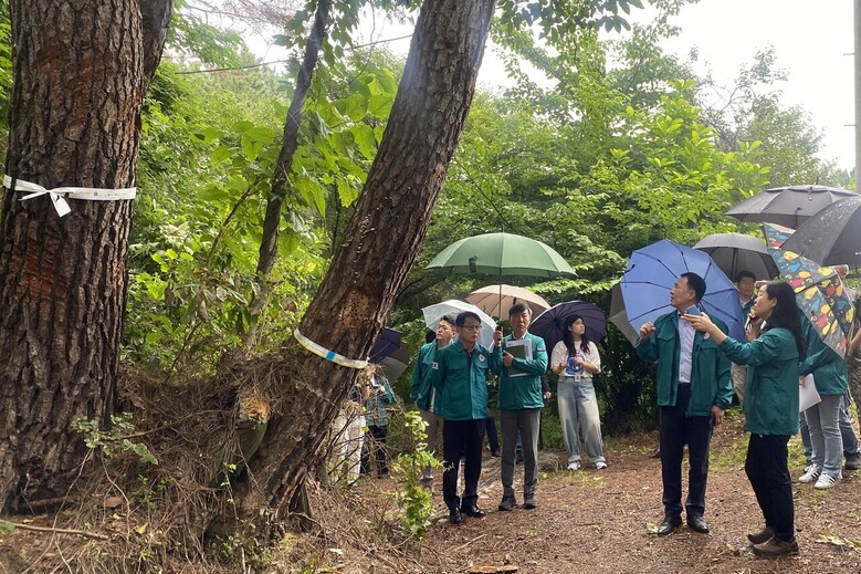 대전시, 환경부 등 방제관계기관과 긴급중앙방제대책회의(산림청 제공)